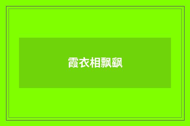 霞衣相飘飖