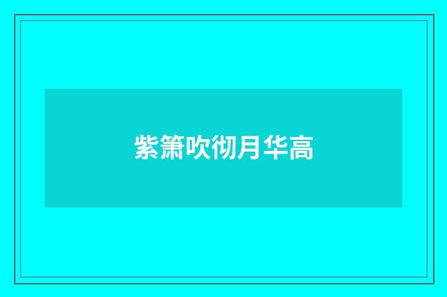 紫箫吹彻月华高