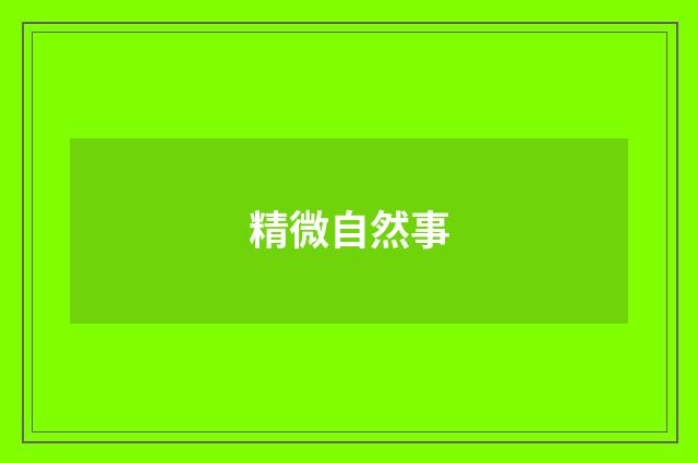 精微自然事