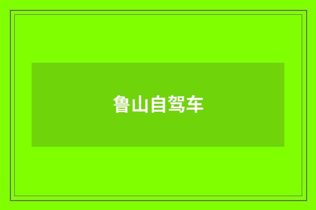 鲁山自驾车