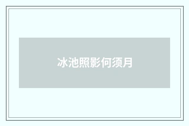 冰池照影何须月