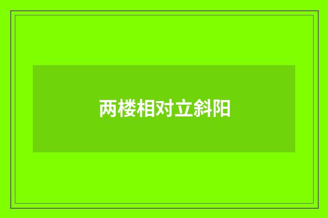 两楼相对立斜阳