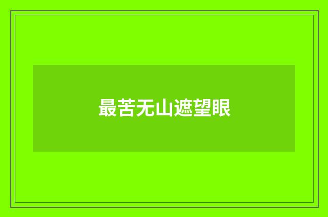 最苦无山遮望眼