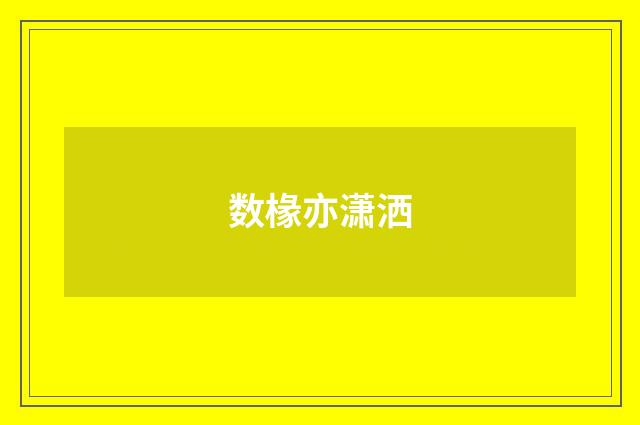 数椽亦潇洒