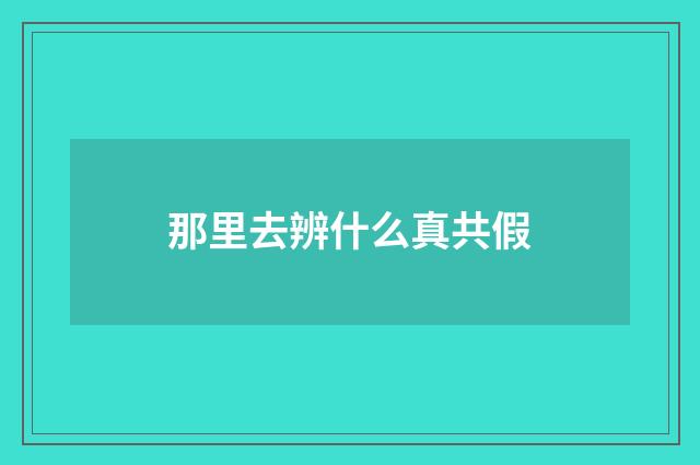 那里去辨什么真共假