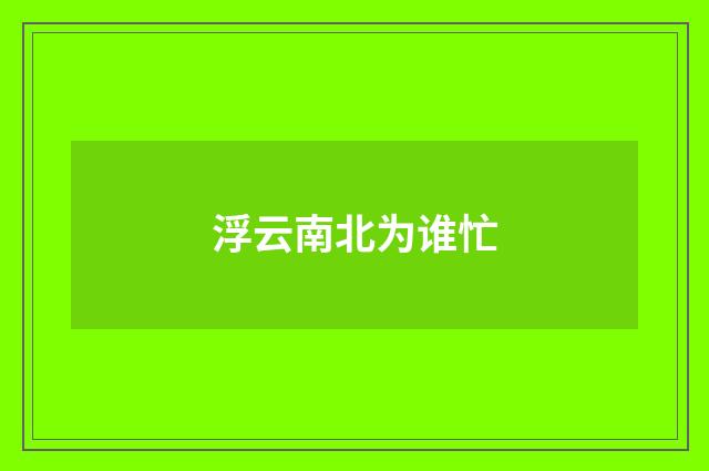 浮云南北为谁忙