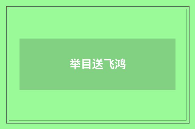 举目送飞鸿