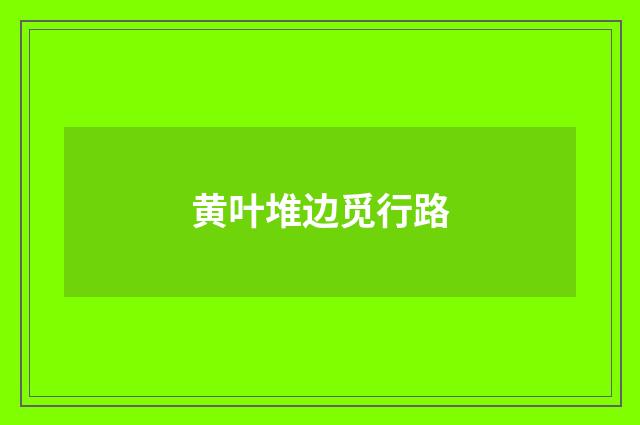 黄叶堆边觅行路