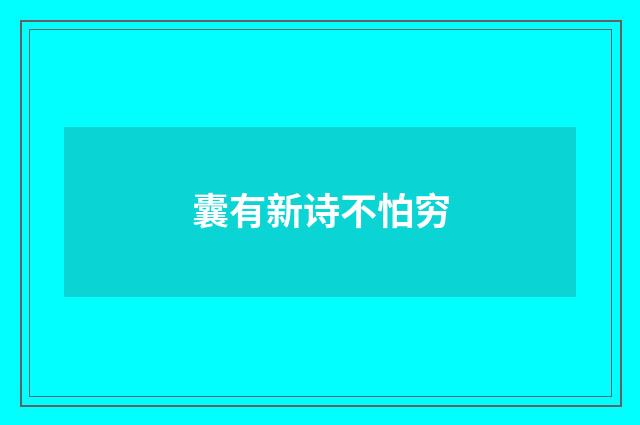 囊有新诗不怕穷