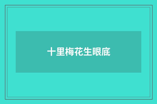十里梅花生眼底