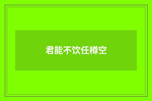 君能不饮任樽空
