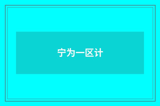 宁为一区计