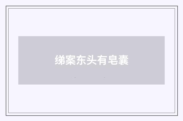 绨案东头有皂囊