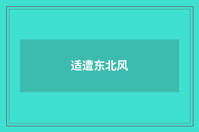 适遭东北风