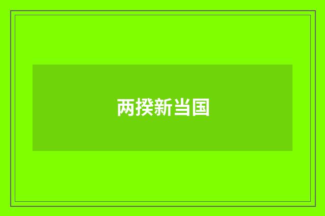 两揆新当国