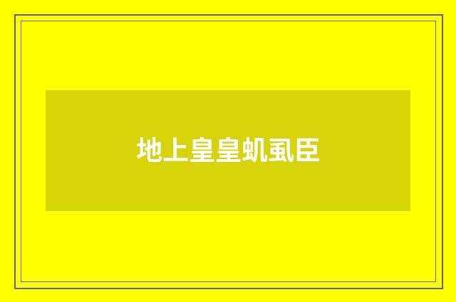 地上皇皇虮虱臣