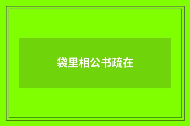 袋里相公书疏在