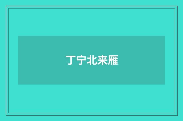 丁宁北来雁