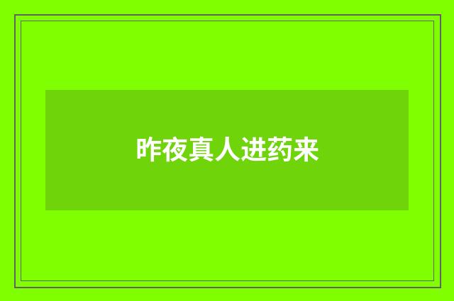 昨夜真人进药来