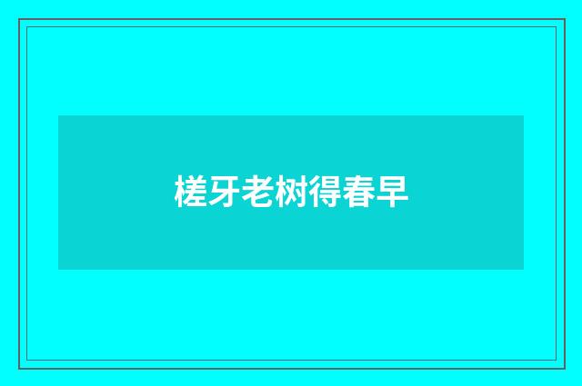 槎牙老树得春早