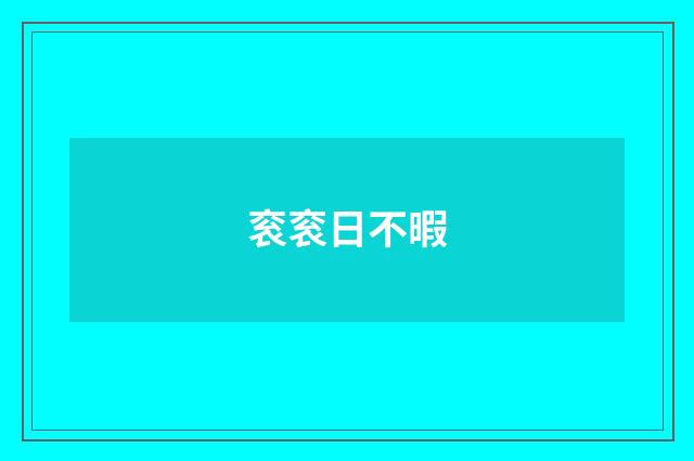 衮衮日不暇