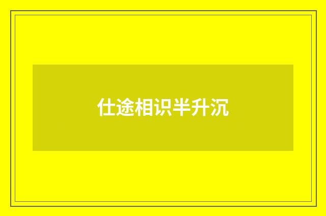 仕途相识半升沉