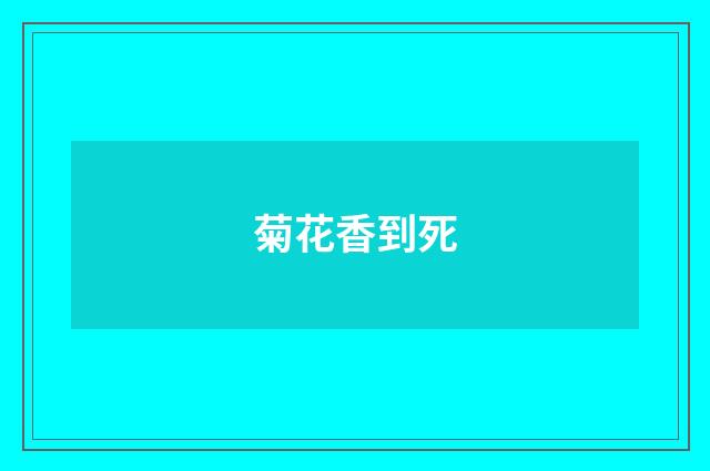 菊花香到死