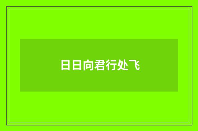 日日向君行处飞