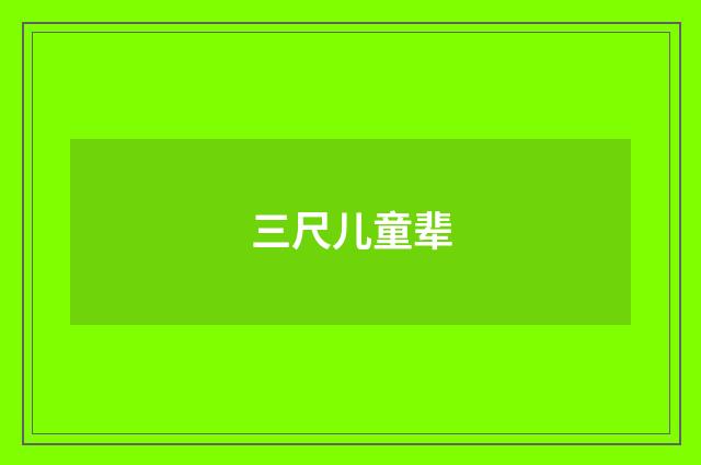 三尺儿童辈