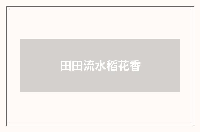 田田流水稻花香