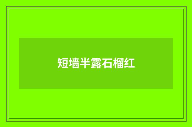 短墙半露石榴红
