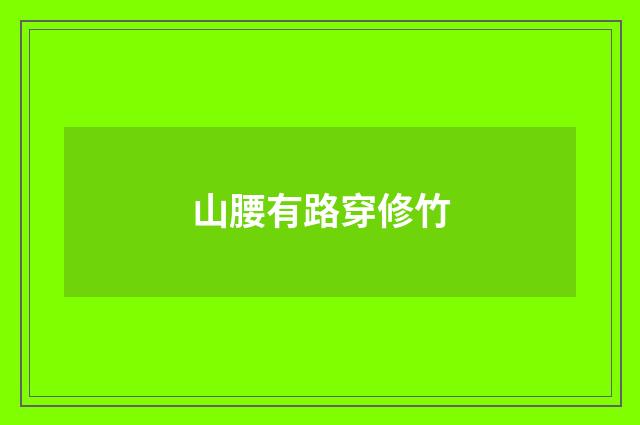 山腰有路穿修竹