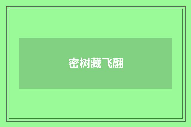 密树藏飞翮