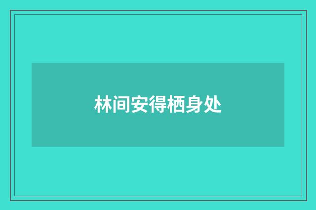林间安得栖身处