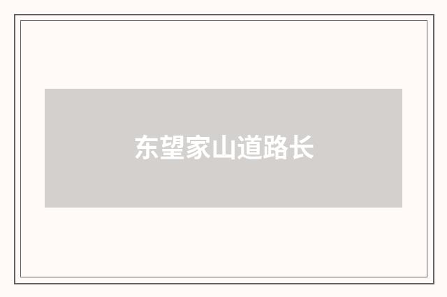 东望家山道路长