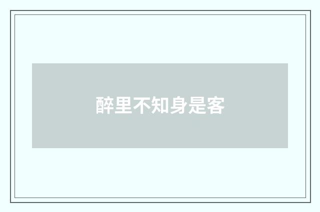 醉里不知身是客