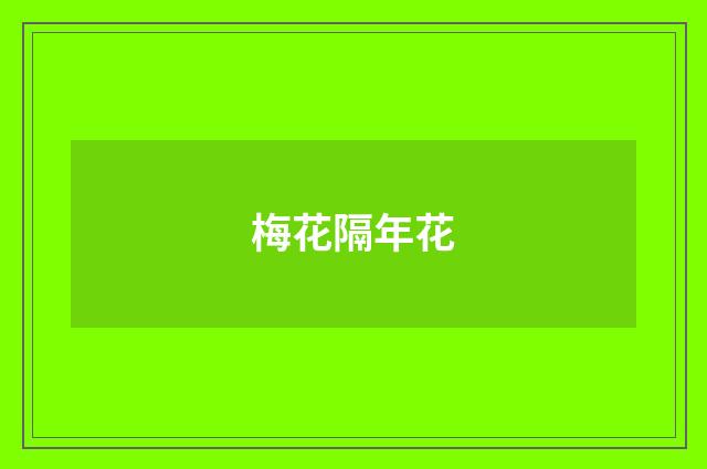 梅花隔年花