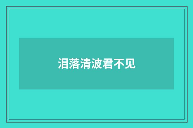 泪落清波君不见