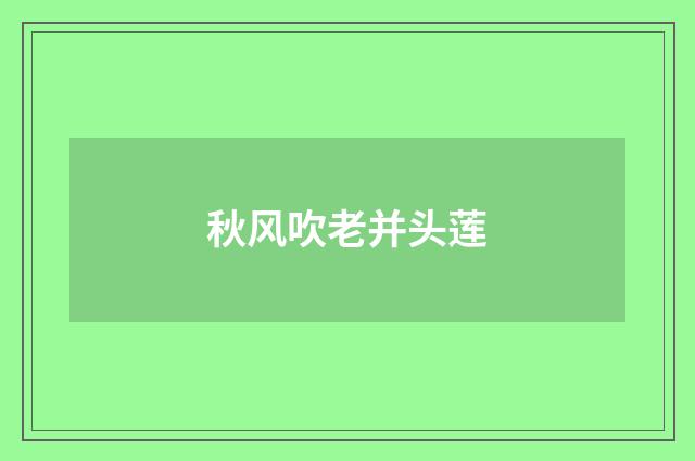 秋风吹老并头莲
