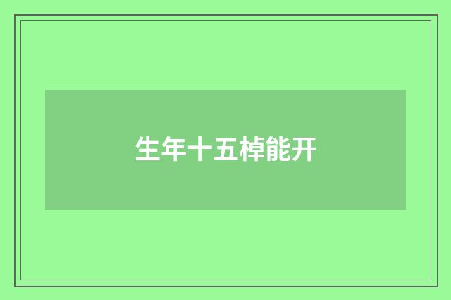 生年十五棹能开