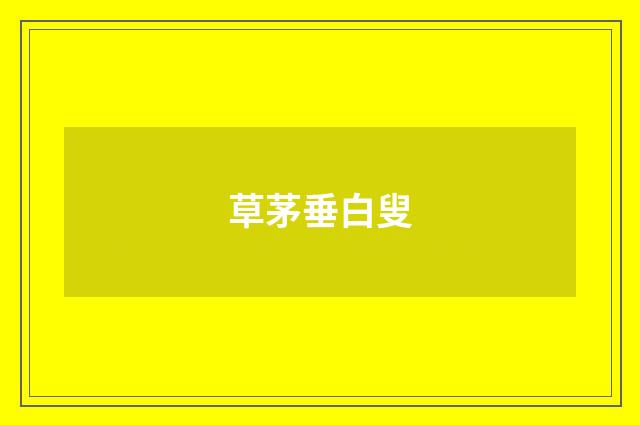 草茅垂白叟
