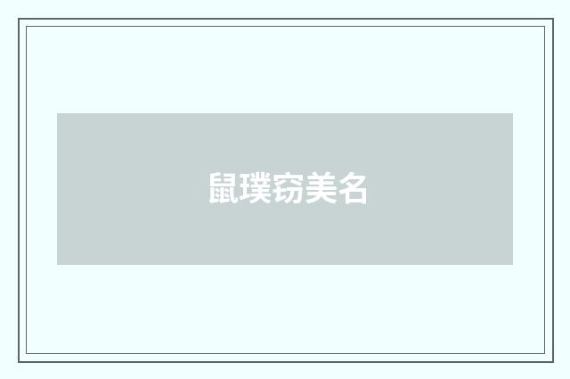 鼠璞窃美名