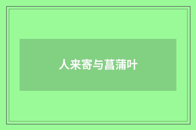 人来寄与菖蒲叶