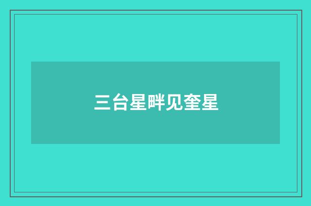 三台星畔见奎星