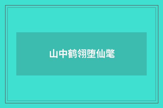 山中鹤翎堕仙氅