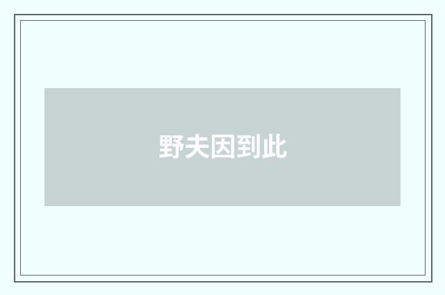 野夫因到此
