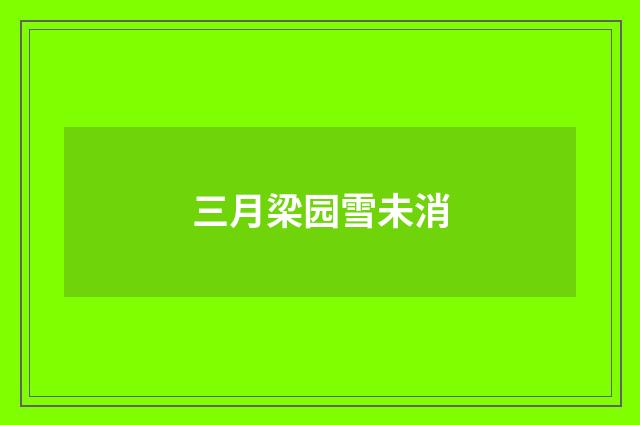 三月梁园雪未消