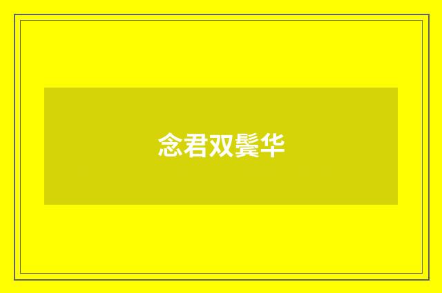 念君双鬓华
