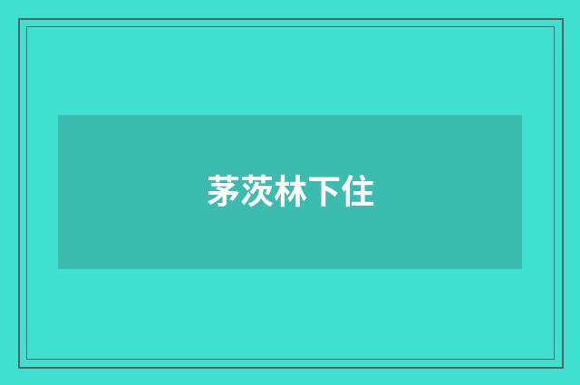 茅茨林下住