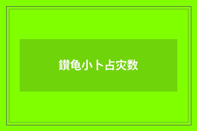 鑚龟小卜占灾数